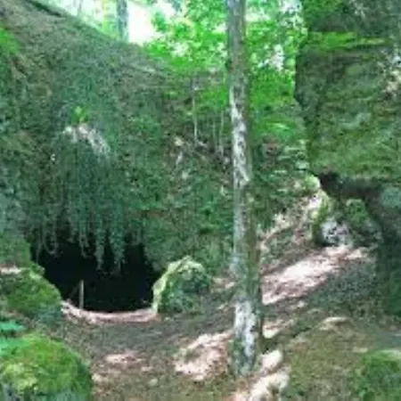 In Der Vulkaneifel 公寓 *