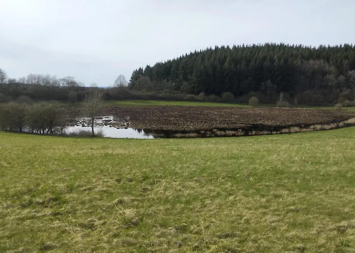 公寓 In Der Vulkaneifel *