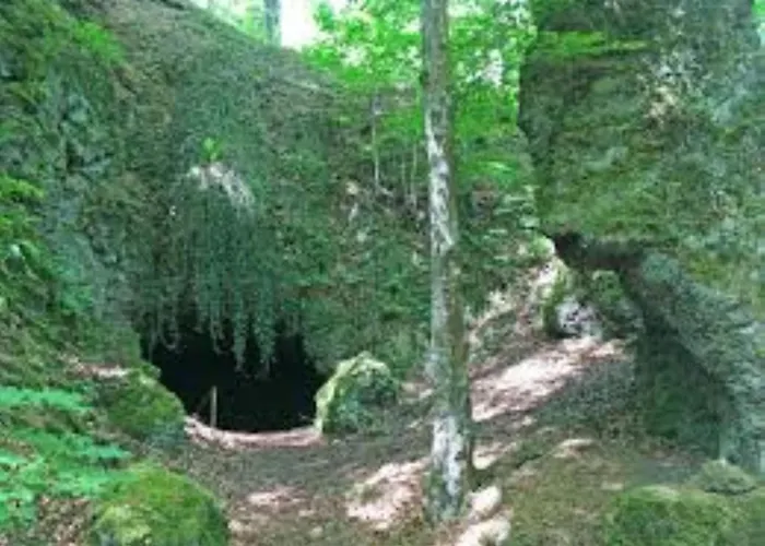 In Der Vulkaneifel 公寓 *